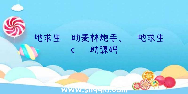 绝地求生辅助麦林炮手、绝地求生c